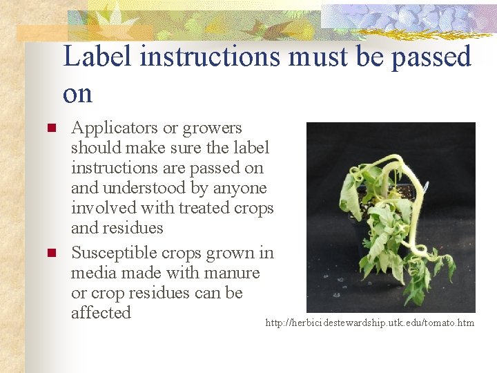 Label instructions must be passed on n n Applicators or growers should make sure