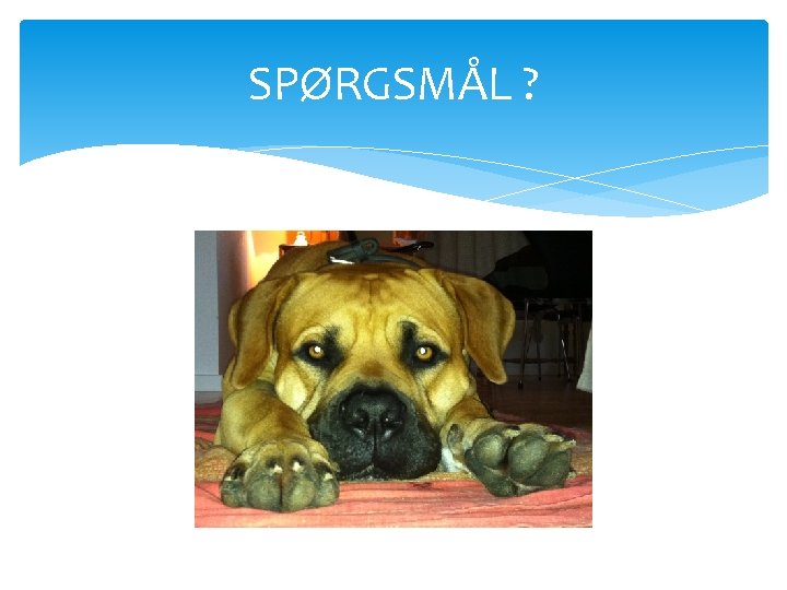 SPØRGSMÅL ? 