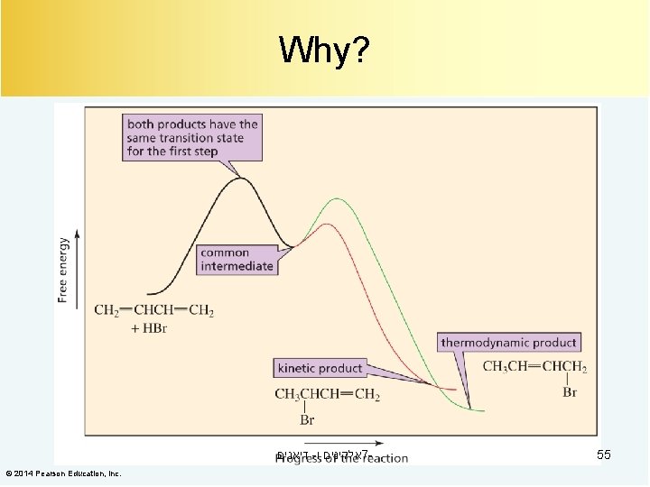 Why? דיאנים - אלקינים ו 7© 2014 Pearson Education, Inc. 55 