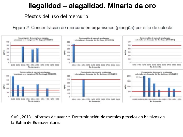 Ilegalidad – alegalidad. Minería de oro Efectos del uso del mercurio CVC , 2013.