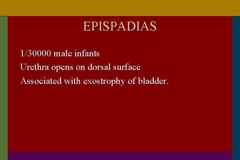 EPISPADIAS 1/30000 male infants Urethra opens on dorsal surface Associated with exostrophy of bladder.