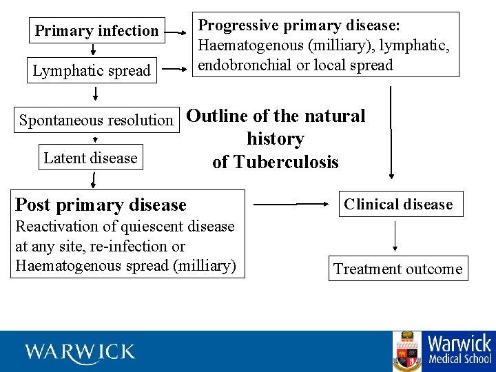 Primary infection Lymphatic spread Progressive primary disease: Haematogenous (milliary), lymphatic, endobronchial or local spread