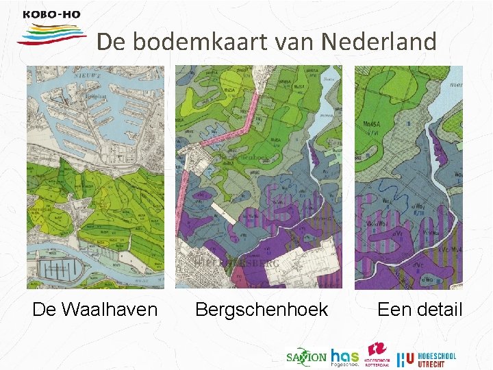 De bodemkaart van Nederland De Waalhaven Bergschenhoek Een detail 