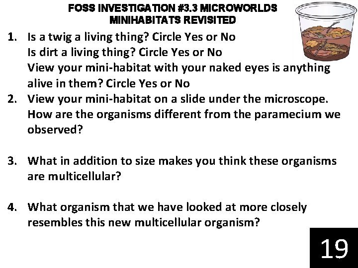 FOSS INVESTIGATION #3. 3 MICROWORLDS MINIHABITATS REVISITED 1. Is a twig a living thing?