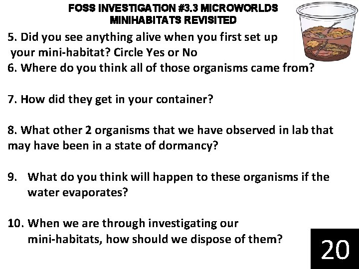 FOSS INVESTIGATION #3. 3 MICROWORLDS MINIHABITATS REVISITED 5. Did you see anything alive when