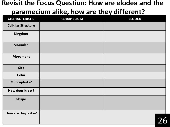 Revisit the Focus Question: How are elodea and the paramecium alike, how are they