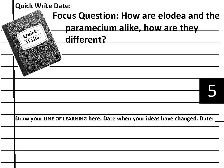 Quick Write Date: ____ Focus Question: How are elodea and the ______________________ paramecium alike,