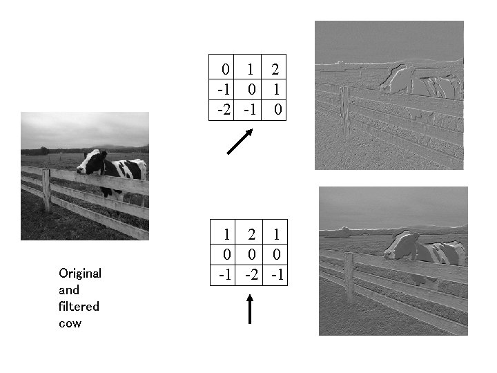 0 1 2 -1 0 1 -2 -1 0 Original and filtered cow 1