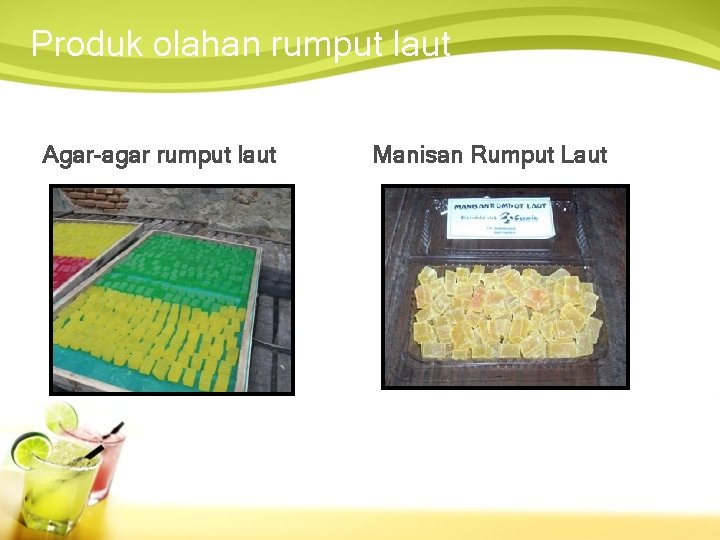 Produk olahan rumput laut Agar-agar rumput laut Manisan Rumput Laut 