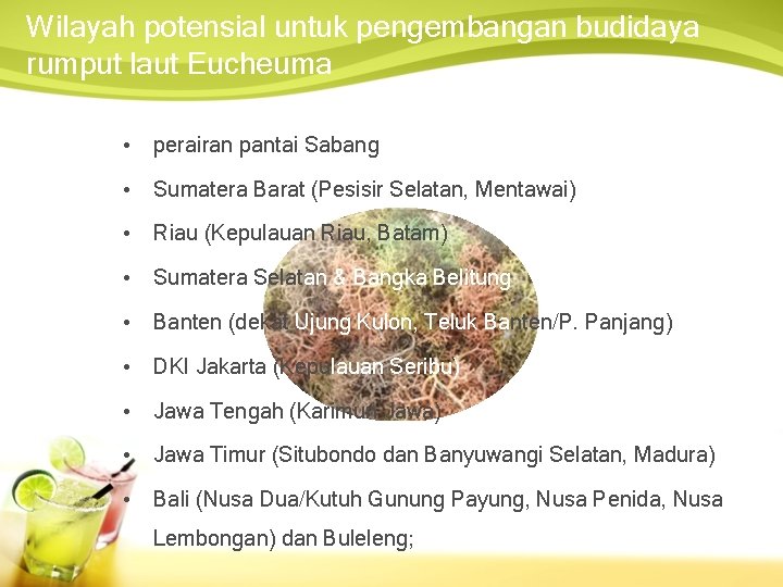 Wilayah potensial untuk pengembangan budidaya rumput laut Eucheuma • perairan pantai Sabang • Sumatera