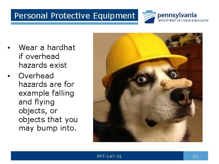 Personal Protective Equipment • • Wear a hardhat if overhead hazards exist Overhead hazards