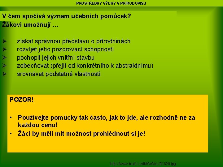 PROSTŘEDKY VÝUKY V PŘÍRODOPISU V čem spočívá význam učebních pomůcek? Žákovi umožňují … Ø