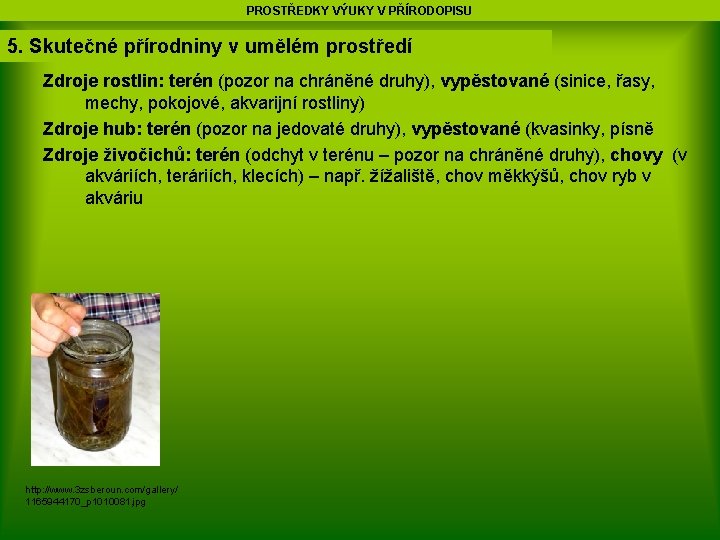 PROSTŘEDKY VÝUKY V PŘÍRODOPISU 5. Skutečné přírodniny v umělém prostředí Zdroje rostlin: terén (pozor