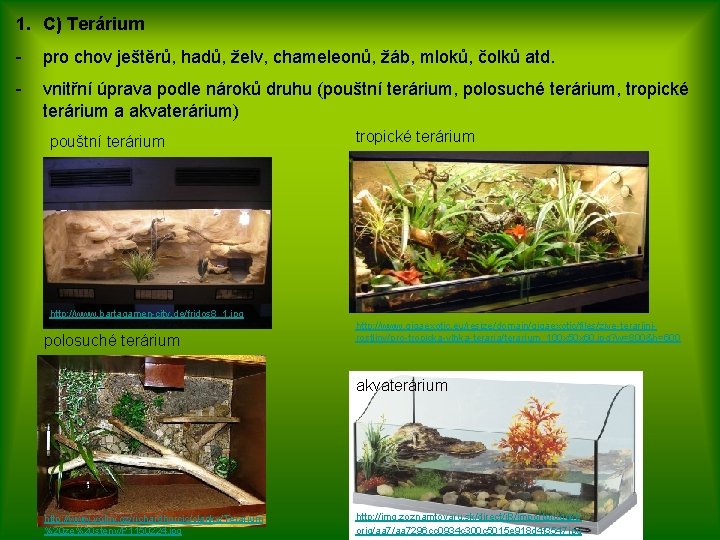 1. C) Terárium - pro chov ještěrů, hadů, želv, chameleonů, žáb, mloků, čolků atd.