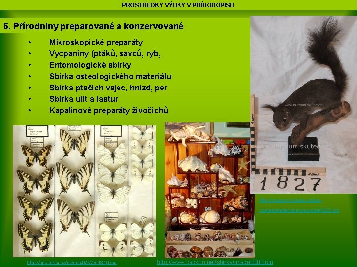 PROSTŘEDKY VÝUKY V PŘÍRODOPISU 6. Přírodniny preparované a konzervované • • Mikroskopické preparáty Vycpaniny