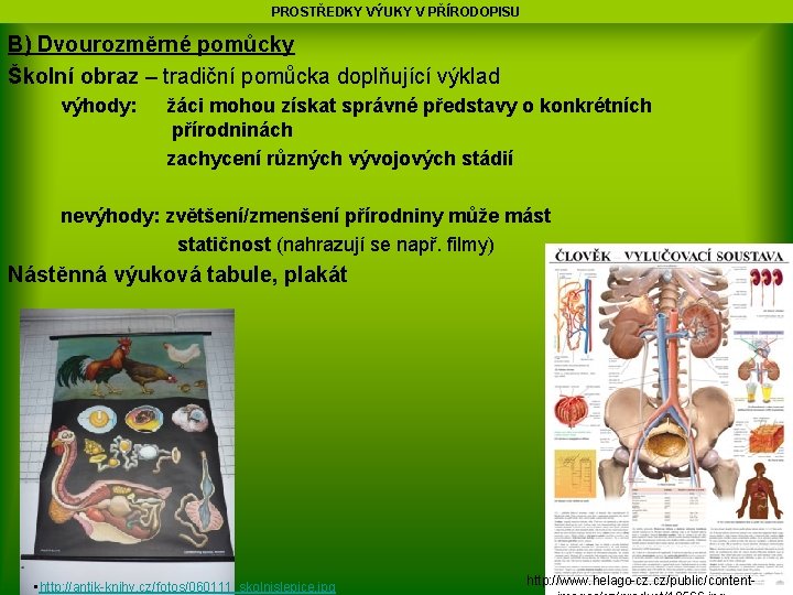 PROSTŘEDKY VÝUKY V PŘÍRODOPISU B) Dvourozměrné pomůcky Školní obraz – tradiční pomůcka doplňující výklad