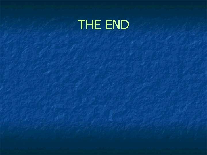 THE END 