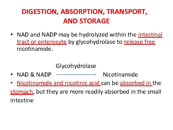 DIGESTION, ABSORPTION, TRANSPORT, AND STORAGE • NAD and NADP may be hydrolyzed within the