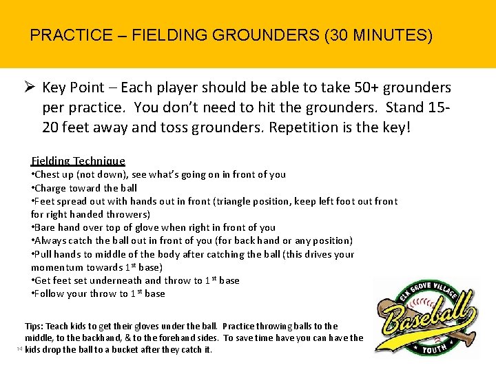 PRACTICE – FIELDING GROUNDERS (30 MINUTES) Ø Key Point – Each player should be