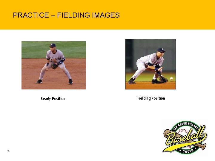 PRACTICE – FIELDING IMAGES Ready Position 15 Fielding Position 
