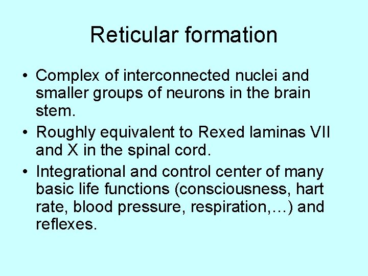 Reticular formation • Complex of interconnected nuclei and smaller groups of neurons in the