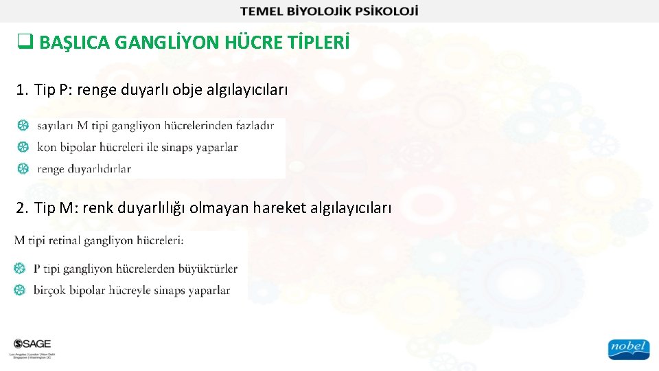 q BAŞLICA GANGLİYON HÜCRE TİPLERİ 1. Tip P: renge duyarlı obje algılayıcıları 2. Tip