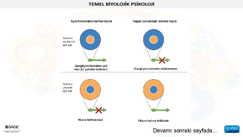 Devamı sonraki sayfada… 