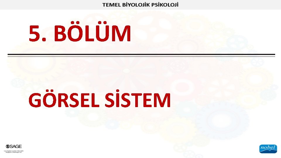 5. BÖLÜM GÖRSEL SİSTEM 