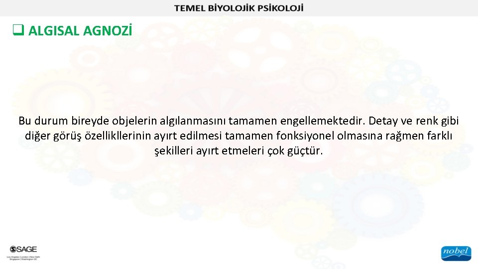 q ALGISAL AGNOZİ Bu durum bireyde objelerin algılanmasını tamamen engellemektedir. Detay ve renk gibi