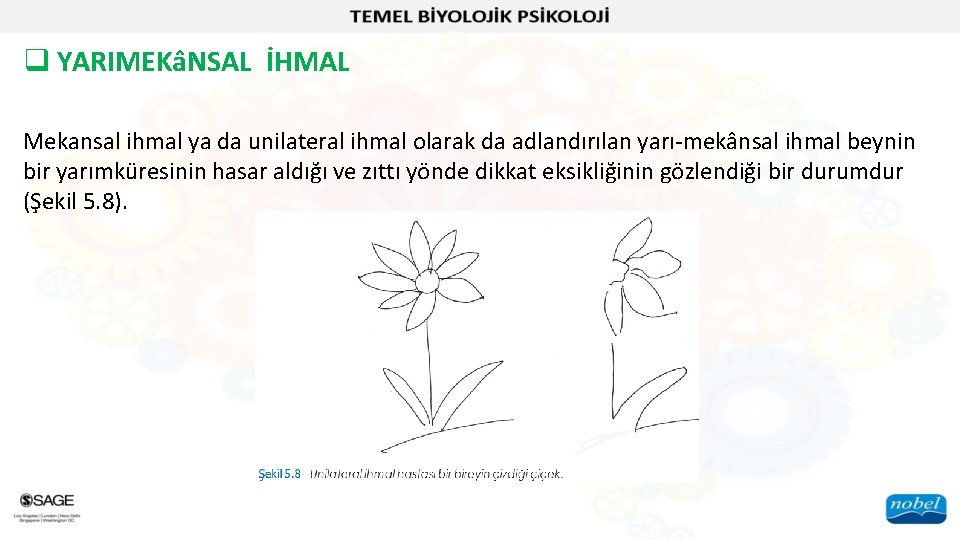 q YARIMEKâNSAL İHMAL Mekansal ihmal ya da unilateral ihmal olarak da adlandırılan yarı-mekânsal ihmal