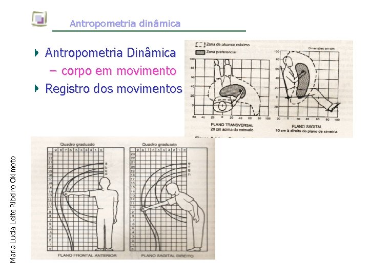 Antropometria dinâmica Maria Lucia Leite Ribeiro Okimoto Antropometria Dinâmica – corpo em movimento Registro