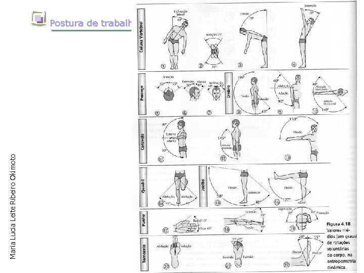 Maria Lucia Leite Ribeiro Okimoto Postura de trabalho 