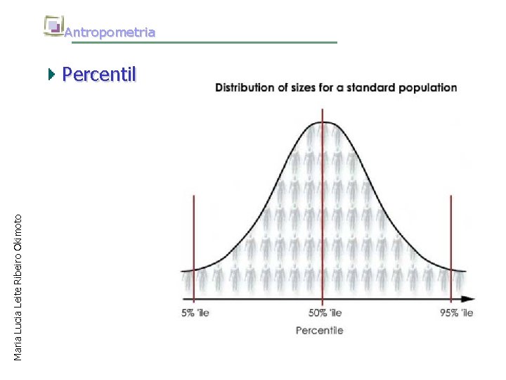 Maria Lucia Leite Ribeiro Okimoto Antropometria Percentil 
