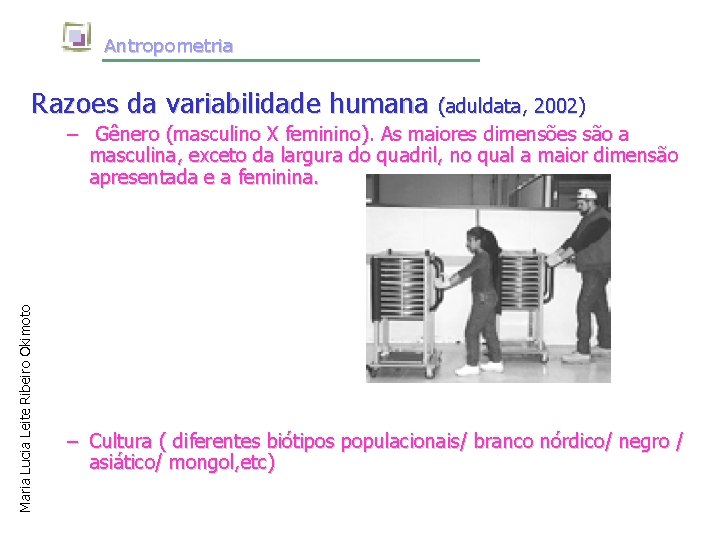 Antropometria Razoes da variabilidade humana (aduldata, 2002) Maria Lucia Leite Ribeiro Okimoto – Gênero