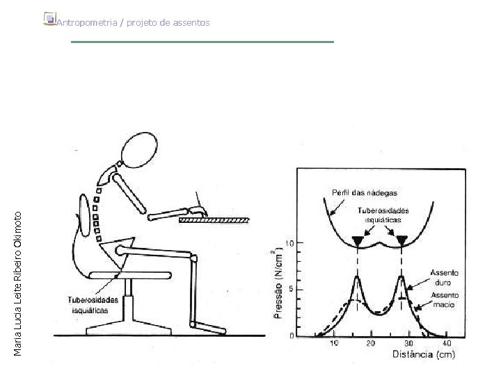 Maria Lucia Leite Ribeiro Okimoto Antropometria / projeto de assentos 