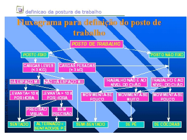 Maria Lucia Leite Ribeiro Okimoto definicao da postura de trabalho 