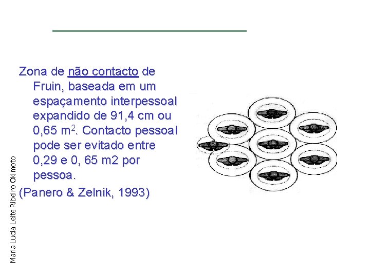 Maria Lucia Leite Ribeiro Okimoto Zona de não contacto de Fruin, baseada em um