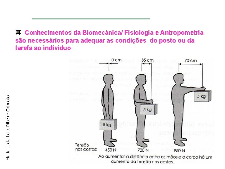 Maria Lucia Leite Ribeiro Okimoto Conhecimentos da Biomecânica/ Fisiologia e Antropometria são necessários para