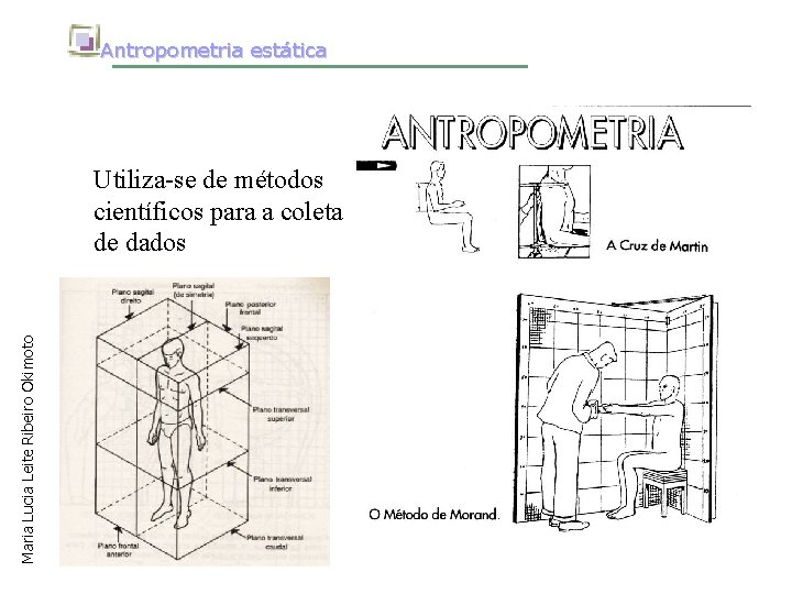 Antropometria estática Maria Lucia Leite Ribeiro Okimoto Utiliza-se de métodos científicos para a coleta