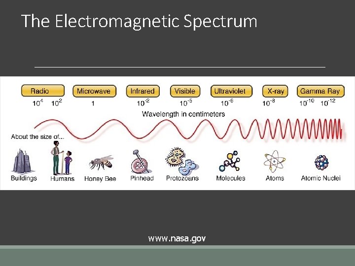 The Electromagnetic Spectrum www. nasa. gov 