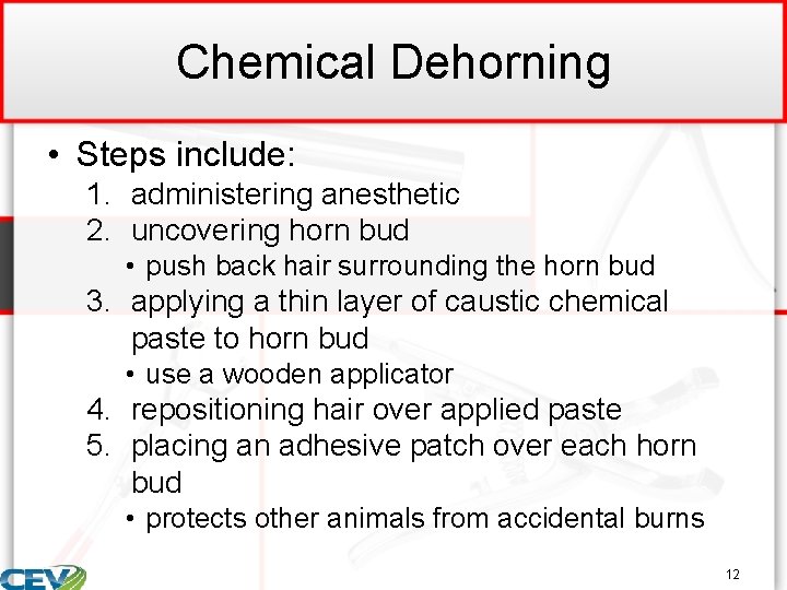 Chemical Dehorning • Steps include: 1. administering anesthetic 2. uncovering horn bud • push