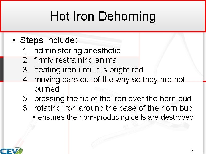 Hot Iron Dehorning • Steps include: 1. 2. 3. 4. administering anesthetic firmly restraining