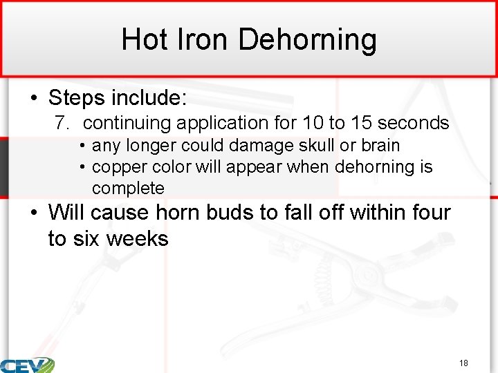 Hot Iron Dehorning • Steps include: 7. continuing application for 10 to 15 seconds