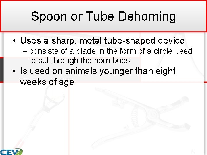 Spoon or Tube Dehorning • Uses a sharp, metal tube-shaped device – consists of