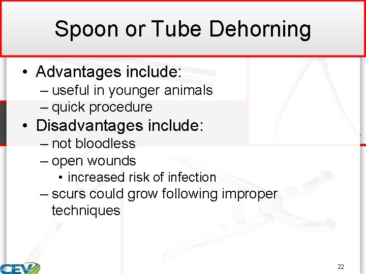 Spoon or Tube Dehorning • Advantages include: – useful in younger animals – quick