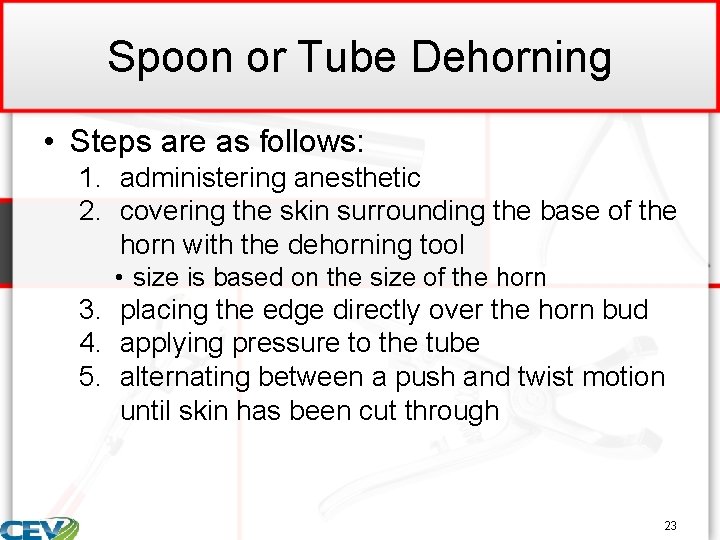 Spoon or Tube Dehorning • Steps are as follows: 1. administering anesthetic 2. covering