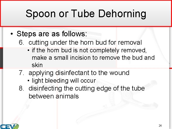 Spoon or Tube Dehorning • Steps are as follows: 6. cutting under the horn