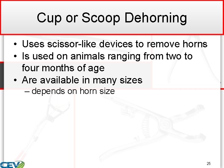 Cup or Scoop Dehorning • Uses scissor-like devices to remove horns • Is used