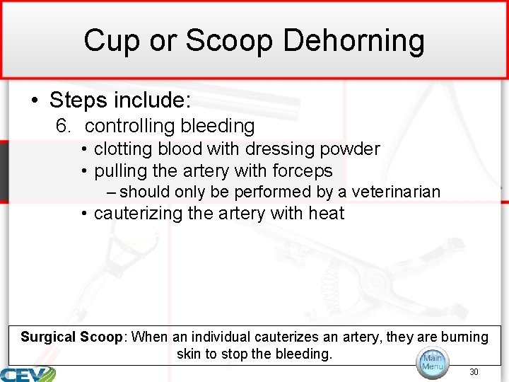 Cup or Scoop Dehorning • Steps include: 6. controlling bleeding • clotting blood with