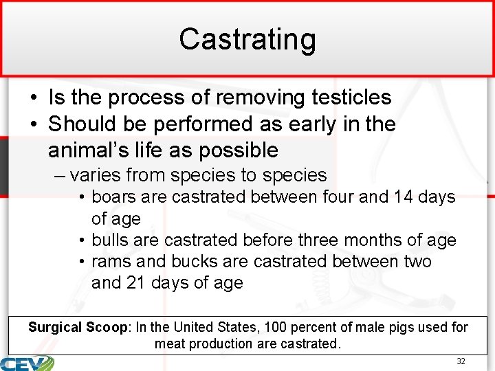 Castrating • Is the process of removing testicles • Should be performed as early